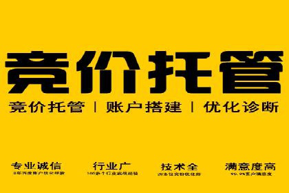 SEM运营推广助力企业业绩增长